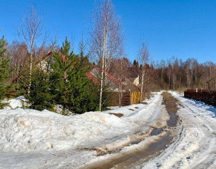 Территория Форест Вилладж