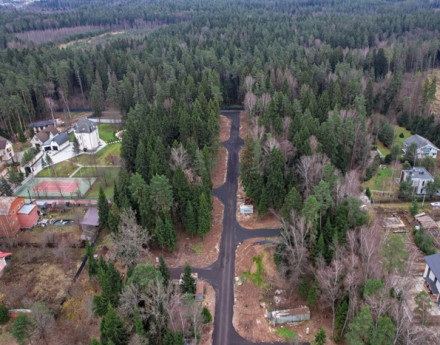 Виды Первый лесной