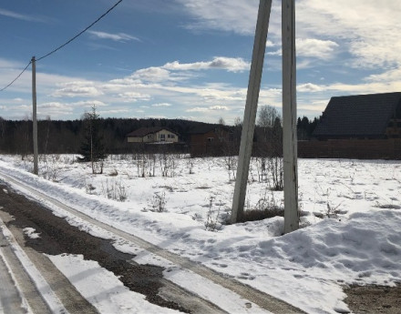 Дома в поселке Форест Вилладж