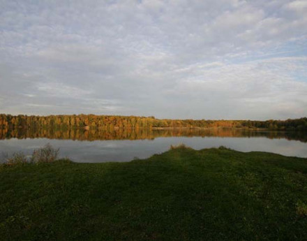 Территория Коняшино парк