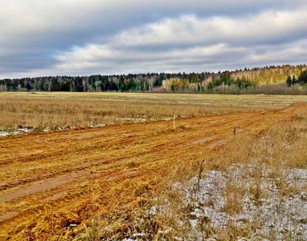 Дачный поселок Аквамарин