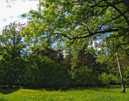 Эко-поселок Зиброво