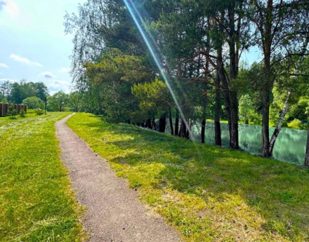 Виды Фаворит