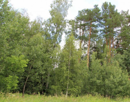 Участки Бегичево на Симферопольском шоссе