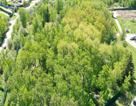 Виды поселка Янтарь