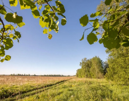 Виды Большое Татариново