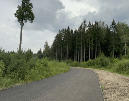 Виды Еловый край