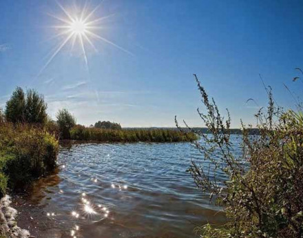 Коттеджный поселок Залесье