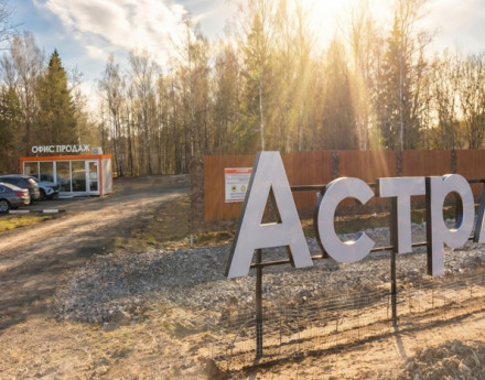 Виды Астра