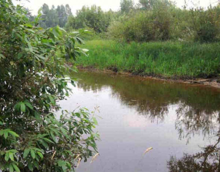 Окрестности поселка Беняково