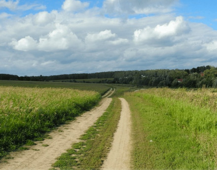 Виды Новое Барыбино