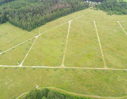 Виды Романовские сады