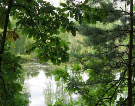 Участки в Малоярославце