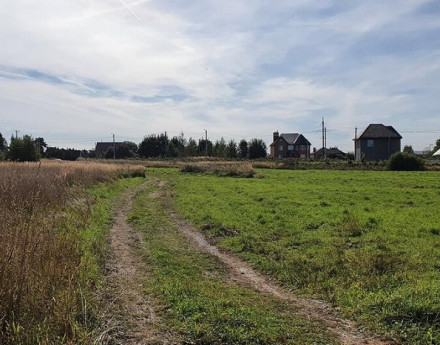 Виды Рижская дубрава