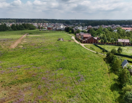 Виды Орлово Лайф