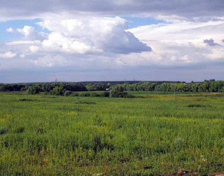 Территория Свистуха