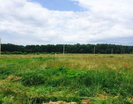 Территория Недельное