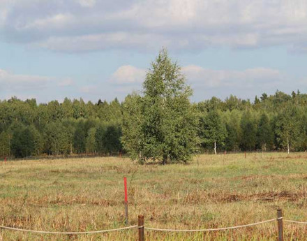 Виды Воскресенки