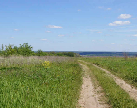 Дачный  поселок  Заокская долина 