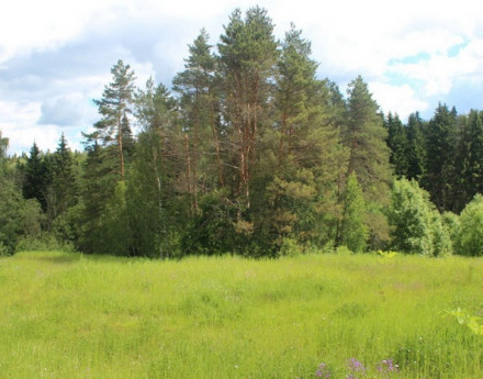 Виды поселка Котово Life