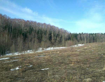 Коттеджный поселок Панорама