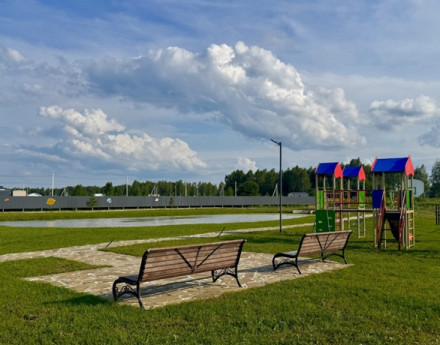 Виды Березки life