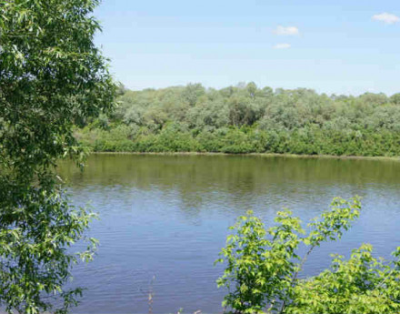 Окрестности поселка Заокская долина