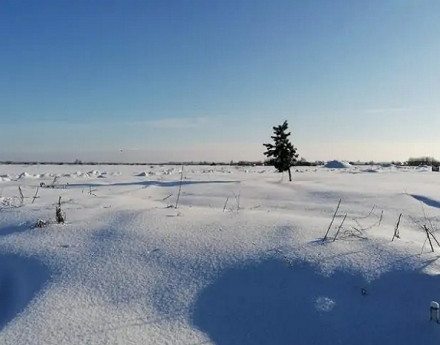 Дачный поселок Рыболово-2