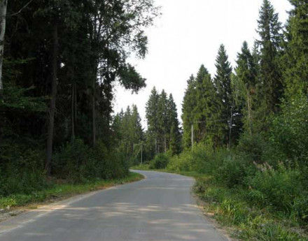 Коттеджный поселок Лесной Новорижское шоссе