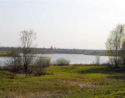 Участки в поселке Сальково