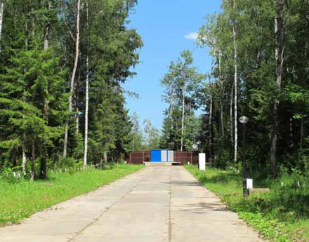 Территория Истринский лес