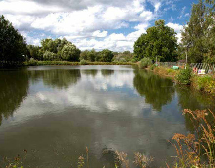 Окрестности поселка Комильфо