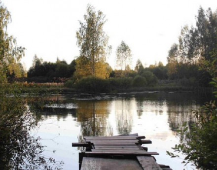 Дачный поселок Щучье озеро