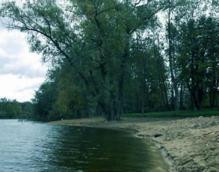 Окрестности поселка Ольгино