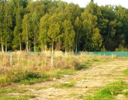 Участки Лайм на Новорижском шоссе