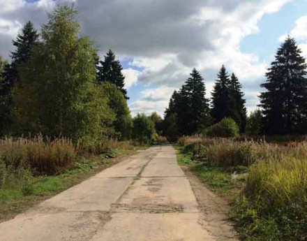 Дорога в поселок Арбузово