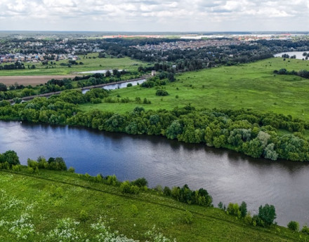 Виды Жемчужина Софьино