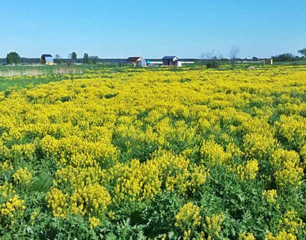 Коттеджный поселок Головково-ИЖС