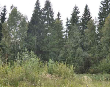 Участки на Дмитровском шоссе