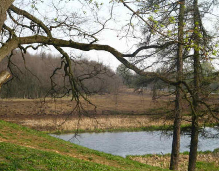 Территория Виндзор