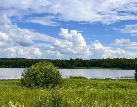 Виды Власьево