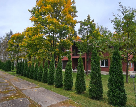 Изображение WhatsApp 2025-09-27 в 21.21.47_4909826f.jpg