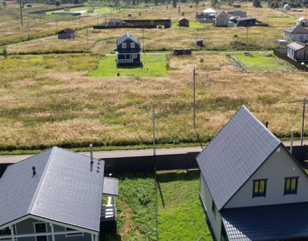 Виды Березки life