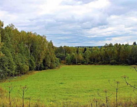 Участки Свистуха