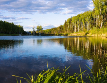 Виды коттеджного поселка Доброград