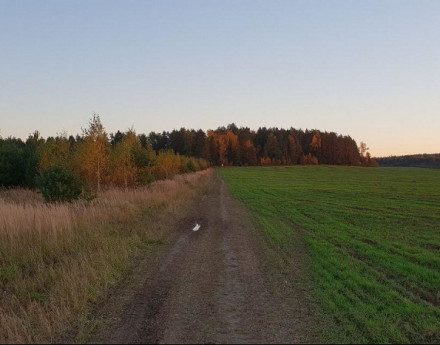 Виды поселка Бушарино-2