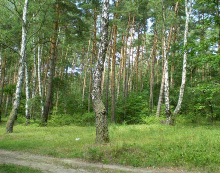 Участки Незабудкино