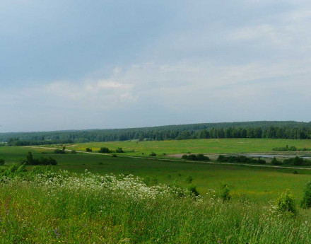 Купить участок Защепино