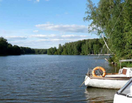 Окресности Залесье