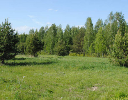 Коттеджный поселок Криушкино